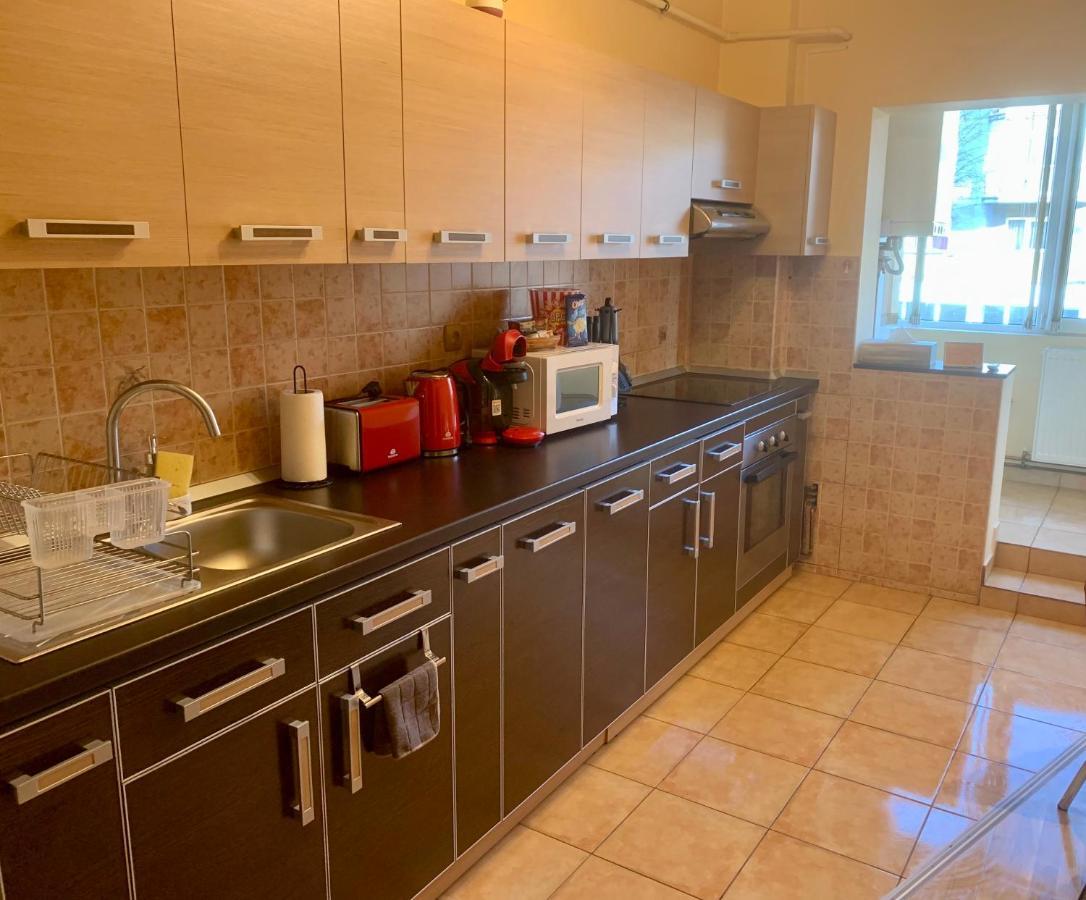 Jad - Family - Apartments - Zorilor Braşov Eksteriør billede
