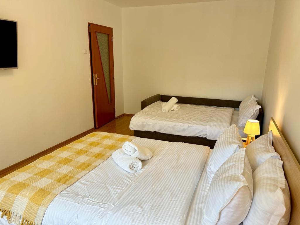 Jad - Family - Apartments - Zorilor Braşov Eksteriør billede