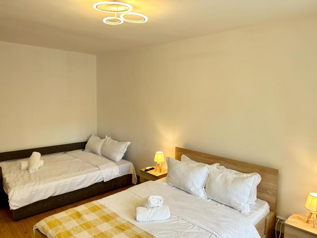 Jad - Family - Apartments - Zorilor Braşov Eksteriør billede