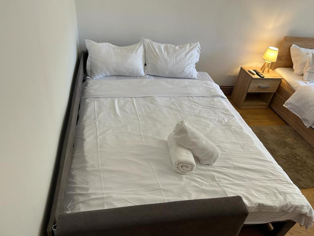 Jad - Family - Apartments - Zorilor Braşov Eksteriør billede