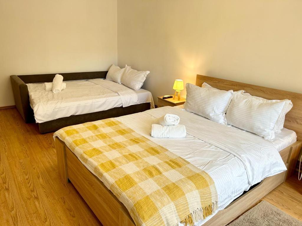 Jad - Family - Apartments - Zorilor Braşov Eksteriør billede