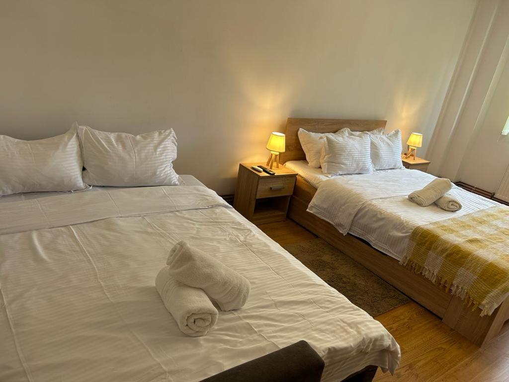 Jad - Family - Apartments - Zorilor Braşov Eksteriør billede