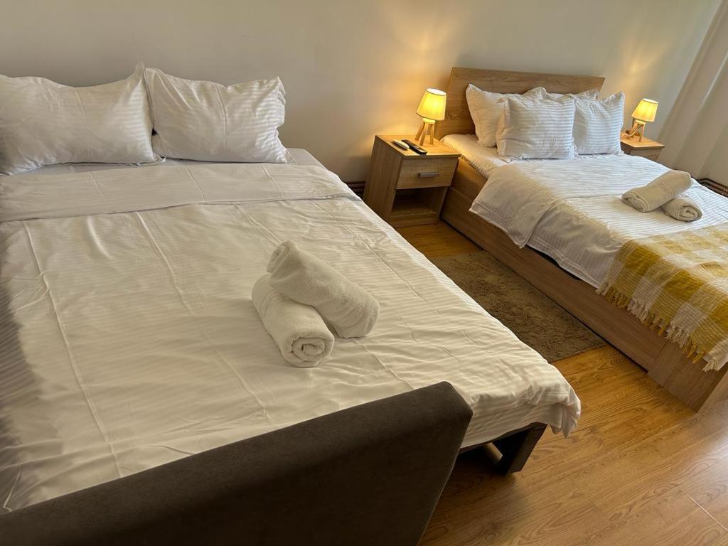 Jad - Family - Apartments - Zorilor Braşov Eksteriør billede