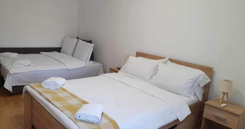 Jad - Family - Apartments - Zorilor Braşov Eksteriør billede
