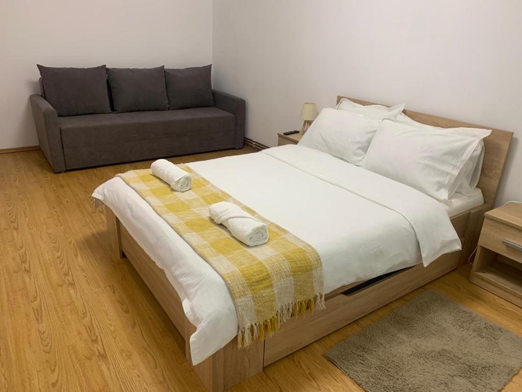 Jad - Family - Apartments - Zorilor Braşov Eksteriør billede