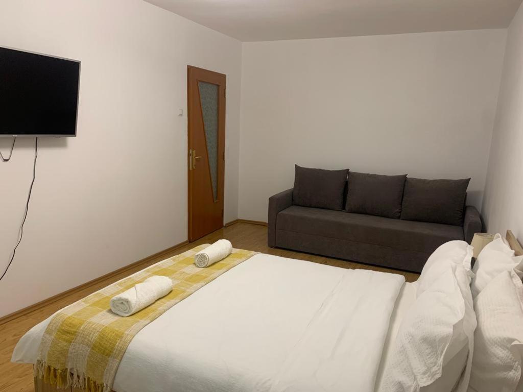 Jad - Family - Apartments - Zorilor Braşov Eksteriør billede