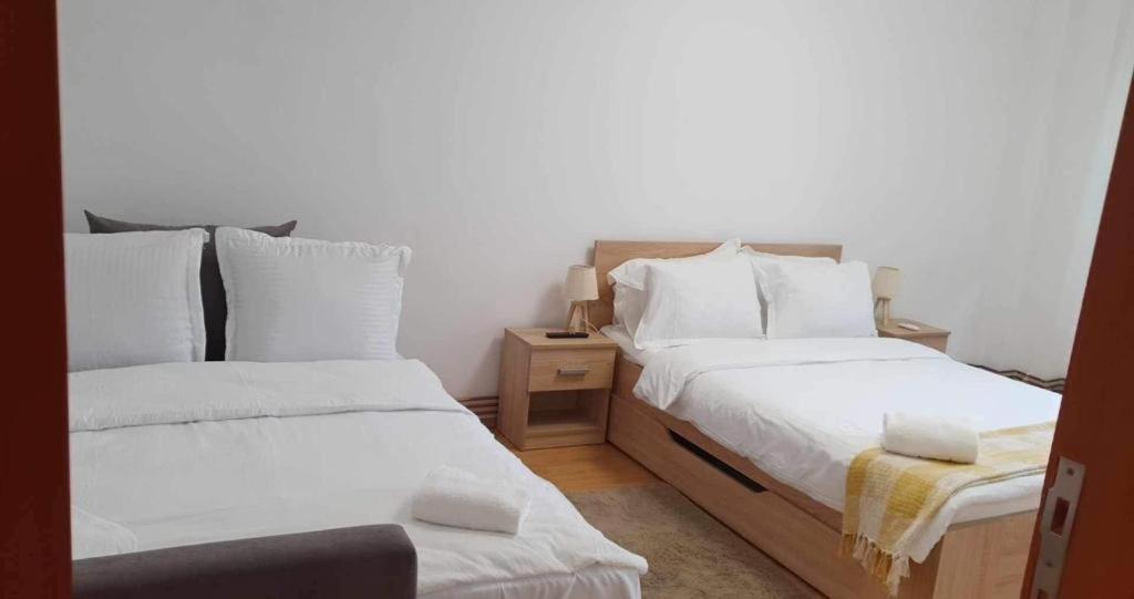 Jad - Family - Apartments - Zorilor Braşov Eksteriør billede